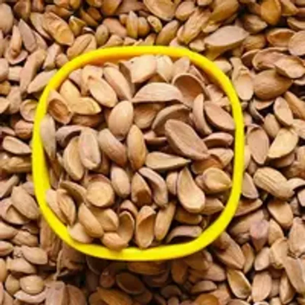 Mamra_Almond_Kernel_Kashmiri_1kg_Pck
