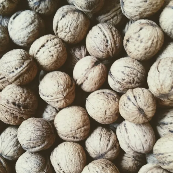 with_Shell_Walnuts_1kg