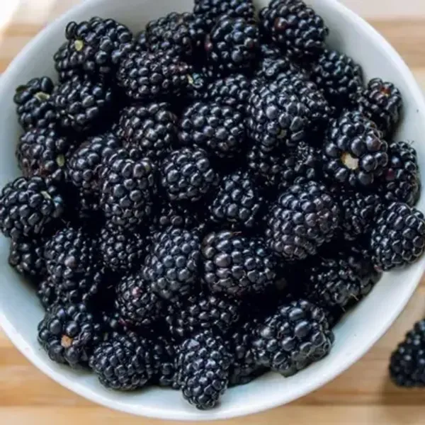 Blackberries_500gms