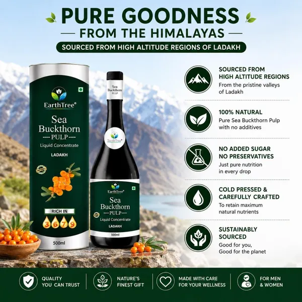 Sea_Buckthorn_Pulp_Juice_500_Ml
