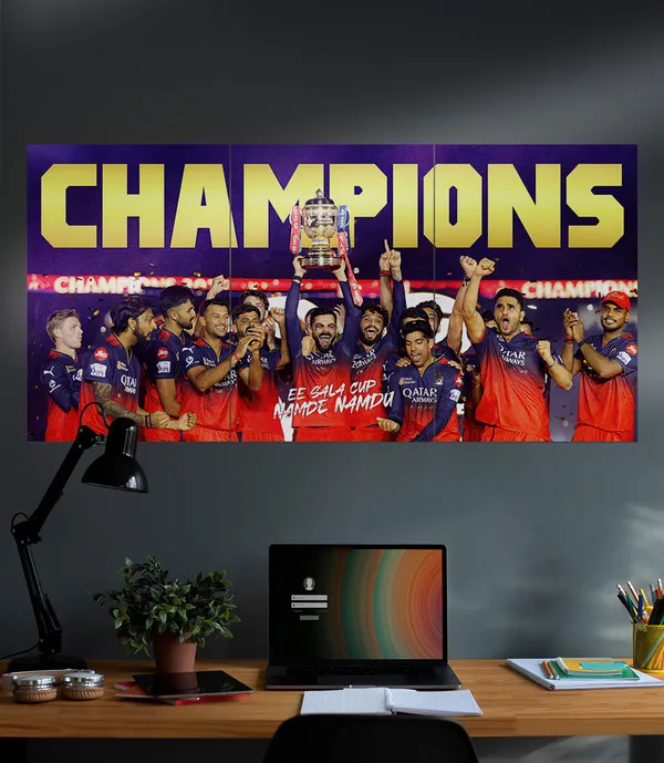 Sports_Celebration_Graphic_Three_Panel_Wall_Poster