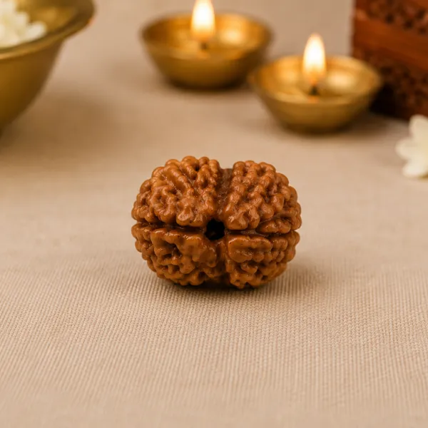 Original_2_Mukhi_Rudraksha_Natural_Authentic_Rudraksha_Namo_Aadhya