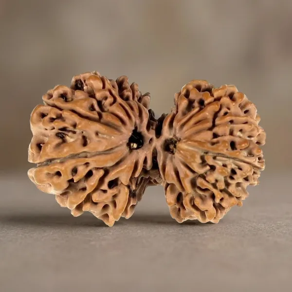 Natural_Rudraksha_Bead_for_Spiritual_Wellness