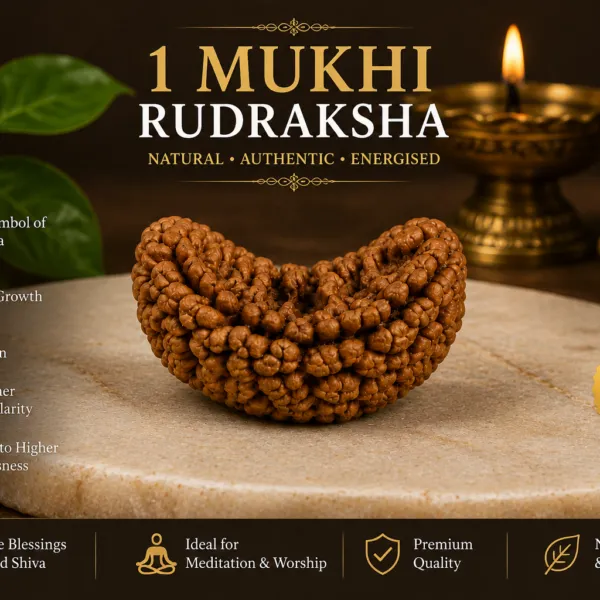 Original_One_Mukhi_Rudraksha_Authentic_Natural_Rudraksha_Namo_Aadhya