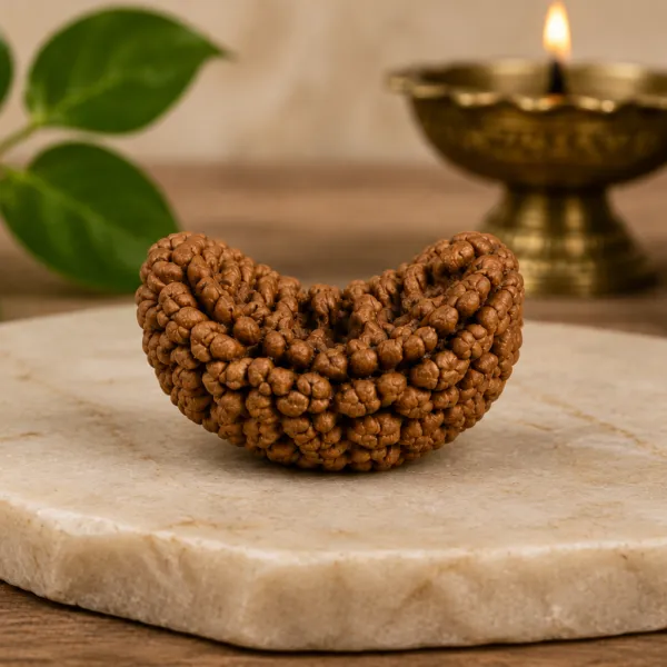 Original_One_Mukhi_Rudraksha_Authentic_Natural_Rudraksha_Namo_Aadhya