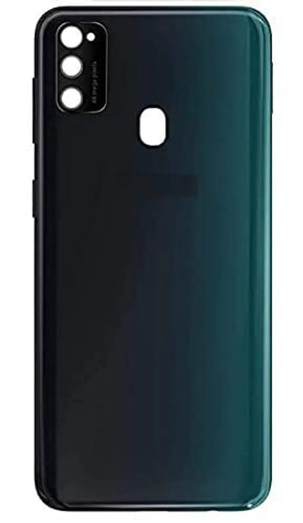 Samsung_Galaxy_M30s_Back_Panel_Cover_With_Camera_Lens_And_Side_Keys