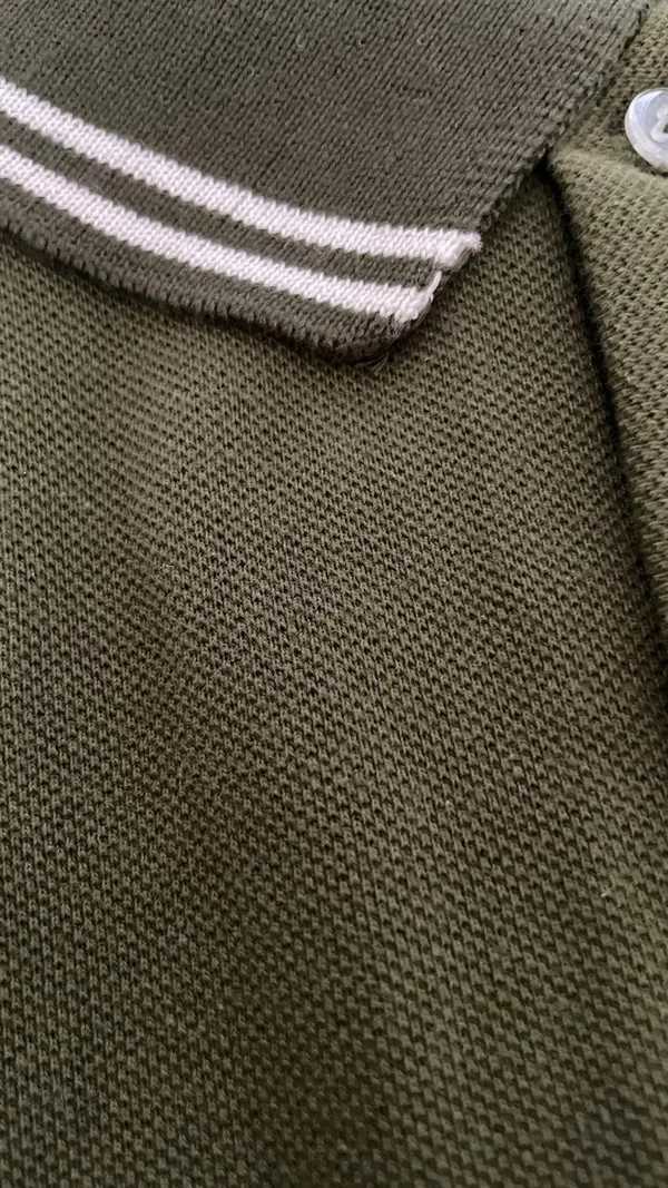 Olive_Green_Cotton_Regular_Fit_Striped_Collar_Polo_T-Shirt_For_Men