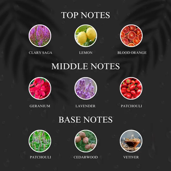 King_Inspired_By_D_G_The_King_Perfume
