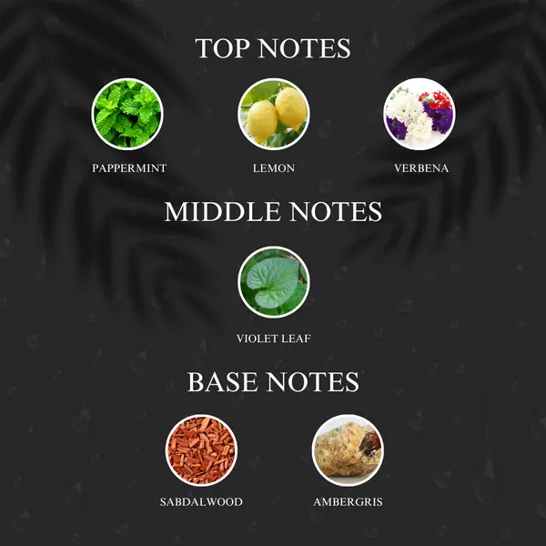 Green_Tweed_Inspired_By_Cre_D_Green_Irish_Tweed_Roll_On_Attar_With_100_Oil_Concentration_Non_Alcohol