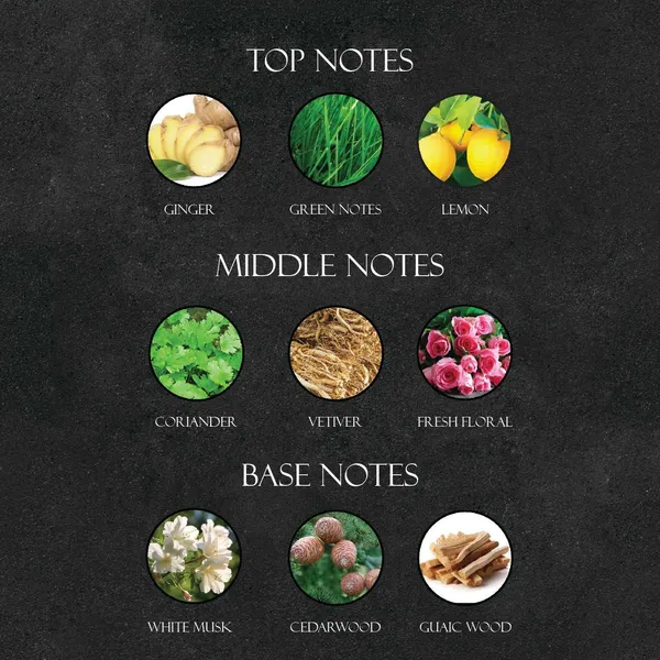 Vetiver_Inspired_By_Cre_D_Original_Vetiver_Roll_On_Attar_With_100_Oil_Concentration_Non_Alcohol