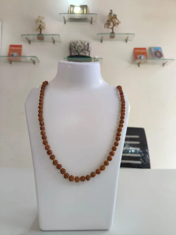 Premium_Natural_8mm_Rudraksha_Mala_(108+1_Beads)