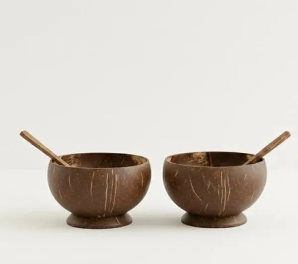 Coconut_Shell_Round_Shape_Serving_Bowl_With_Spoon_(Pack_of_2_)