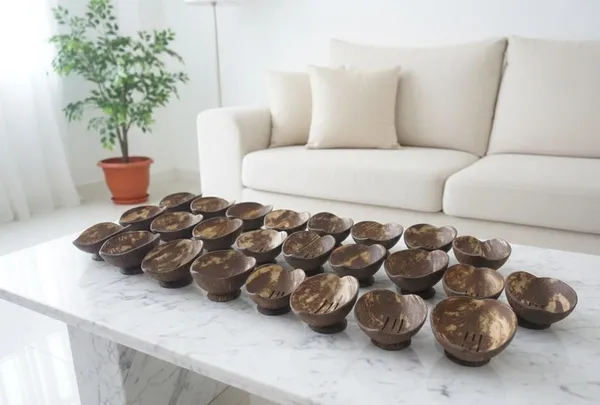 Coconut_Shell_Soap_Dish