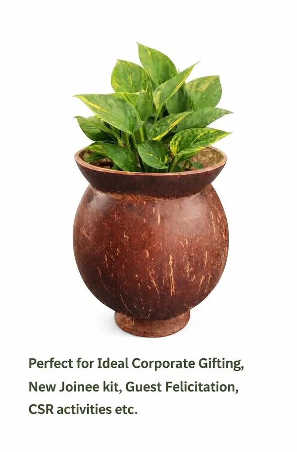 Indoor_Planter