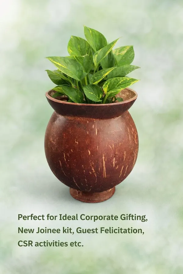 Indoor_Planter