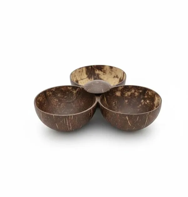 Coconut_Shell_Trio_Bowl_(Pack_of_2_)