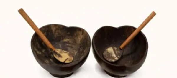 Coconut_Shell_Bowl_With_Scoop_(Pack_of_2_)