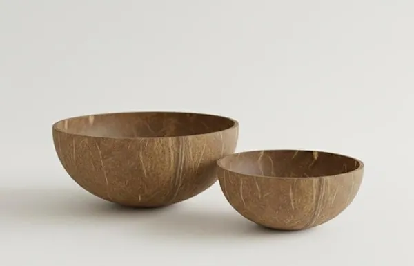 Coconut_Shell_Bowl_(Pack_of_2_)