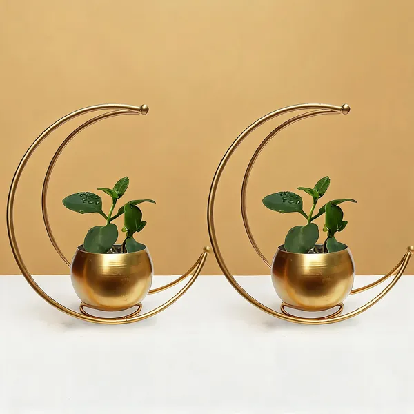 Gold_Crescent_Moon_Hanging_Planter_With_Metal_Stand
