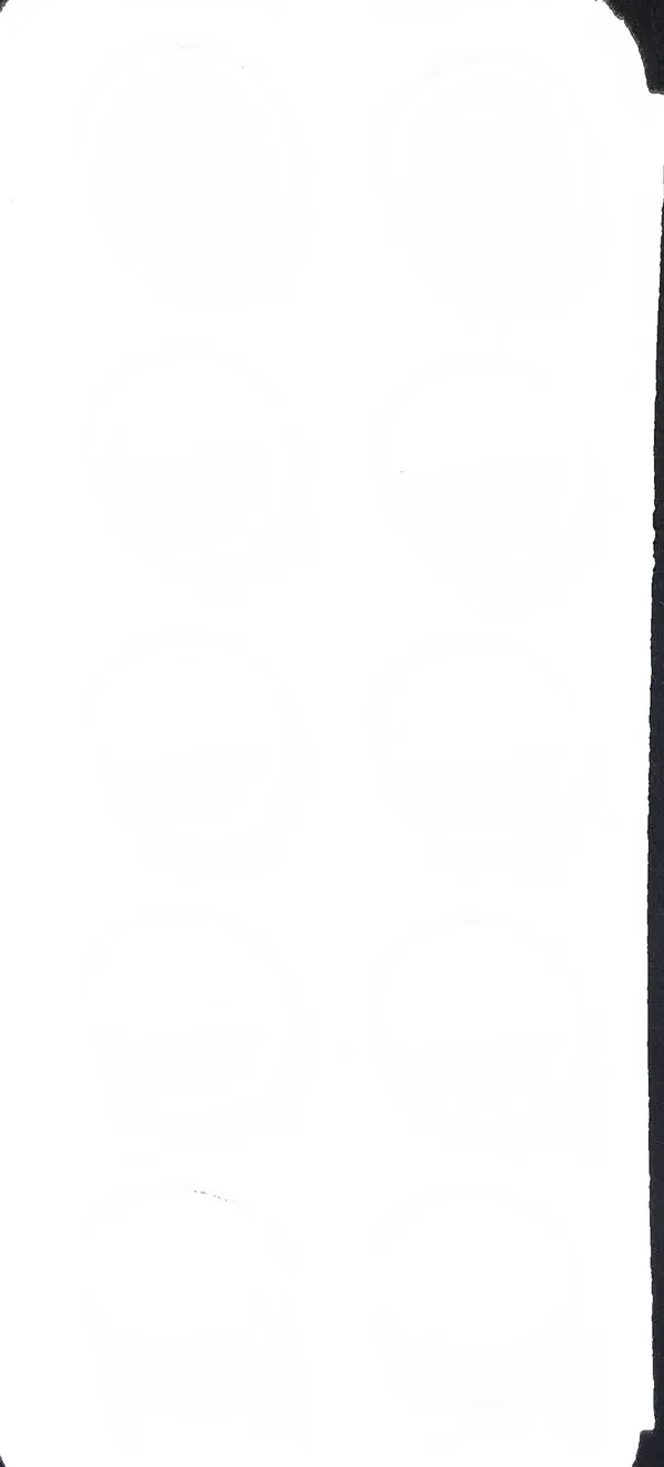 Niftimed_Tablets_-_Pack_of_3