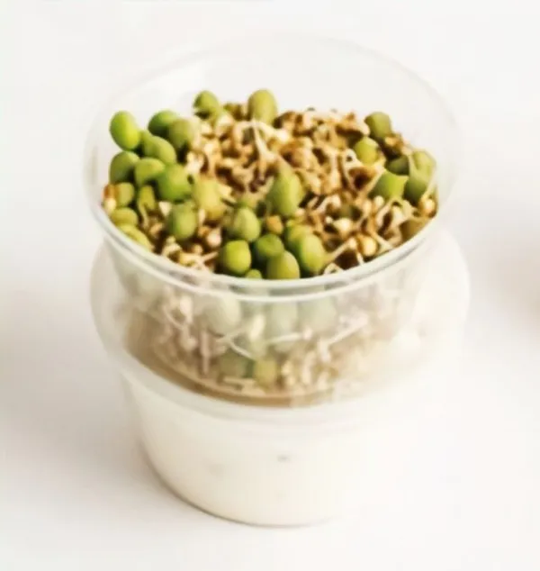 Transparent_Storage_Container_Food_Grade_Polypropylene_For_Kitchen__Storage