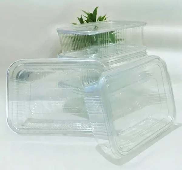 Transparent_Storage_Container_Food_Grade_Polypropylene_For_Kitchen__Storage