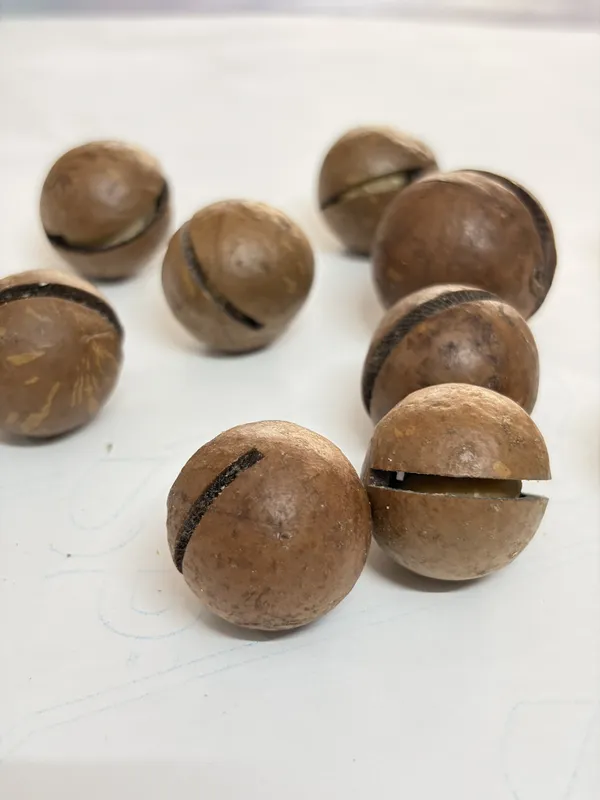 Flagged:_Product_Code_Indicates_Macadamia_Nuts_But_Description_And_Ingredients_Describe_Milk_Chocolate_Coated_Cookie_Balls_-_Mismatch_Requires_Human_Review