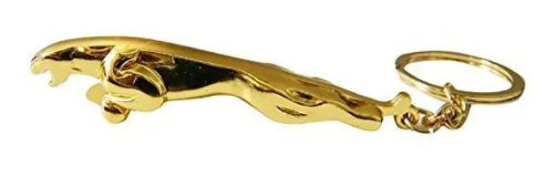 Gold_Metal_Keychain_For_Home_Decor_Pack_Of_1