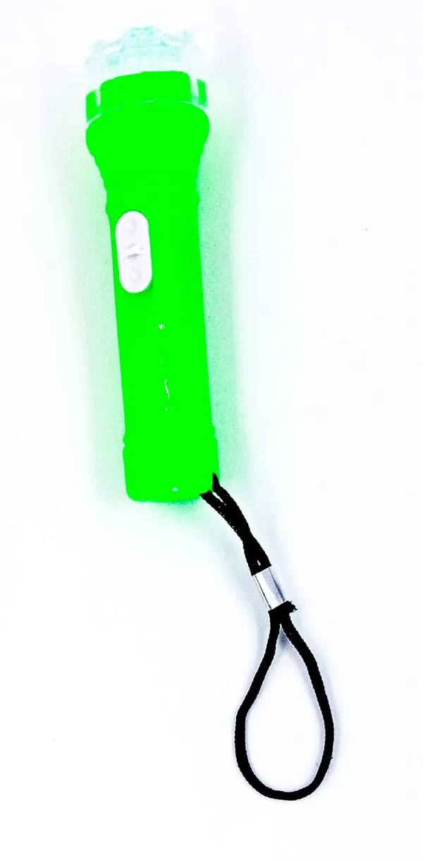Green_Plastic_Keychain_For_Home_Decor_Pack_Of_1