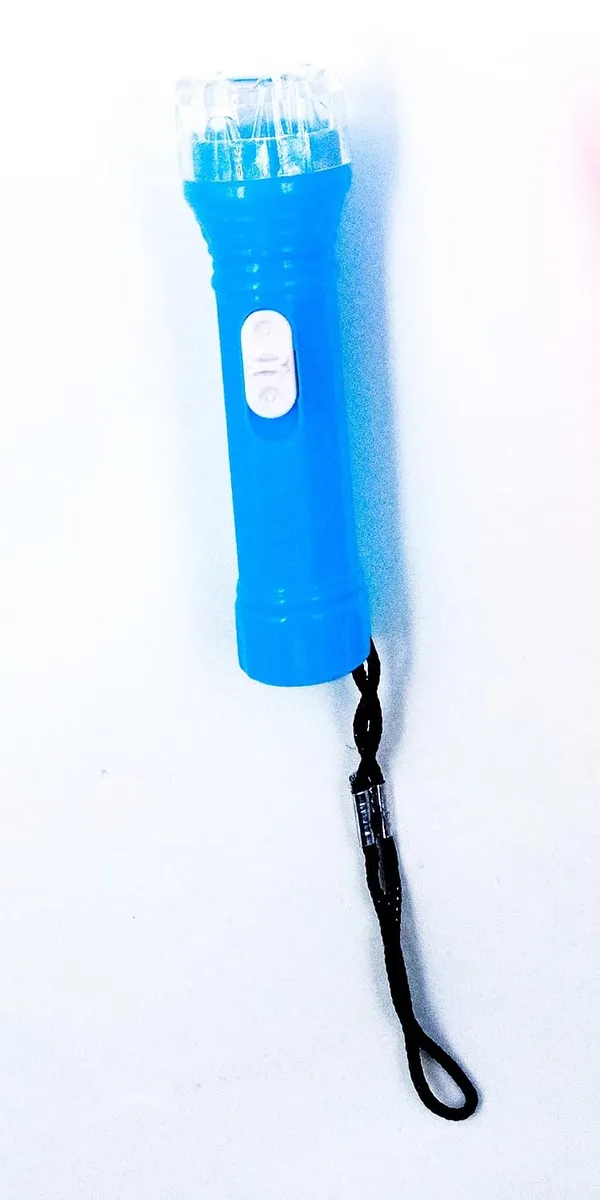 Blue_Plastic_Keychain_For_Home_Decor_Pack_Of_1