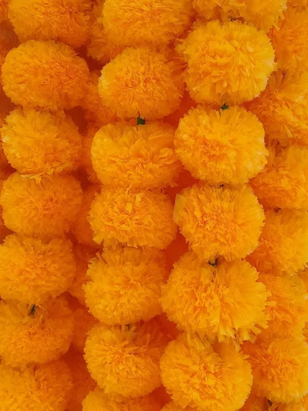 Lightorange_Plastic_Garland_For_Home_Decor