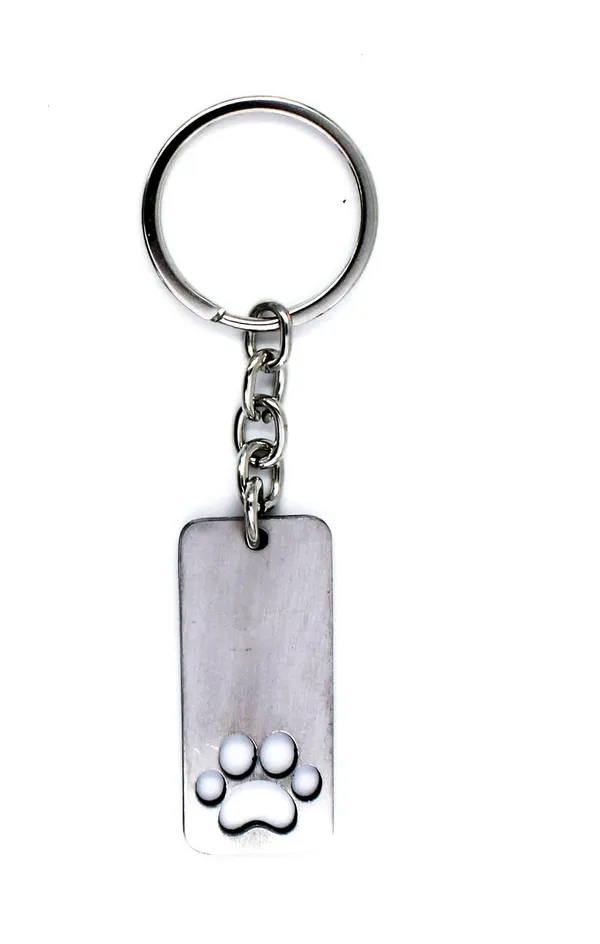 Silver_Metal_Keychain_For_Home_Decor_Pack_Of_1