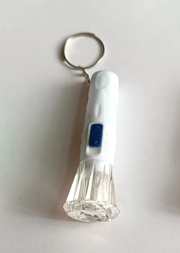 White_Plastic_Keychain_For_Home_Decor_Pack_Of_1