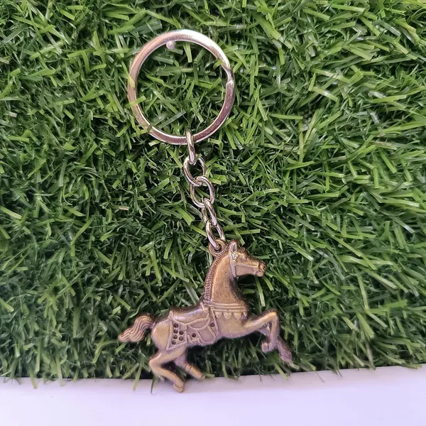 Festilo_Multicolor_Metal_Keychain_Pack_Of_1