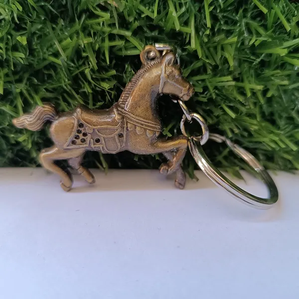 Festilo_Multicolor_Metal_Keychain_Pack_Of_1