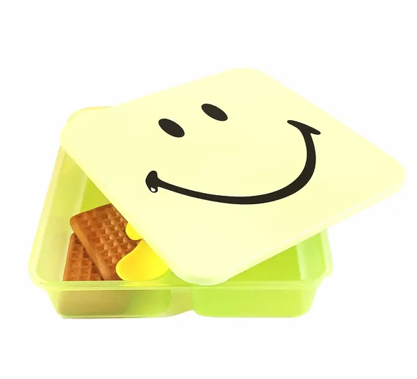 Lightgreen_Plastic_Lunch_Box_Combo_For_Home_Decor