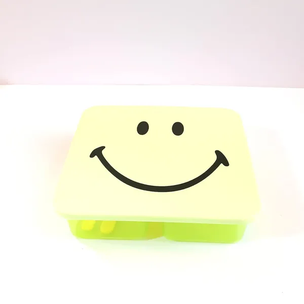 Lightgreen_Plastic_Lunch_Box_Combo_For_Home_Decor