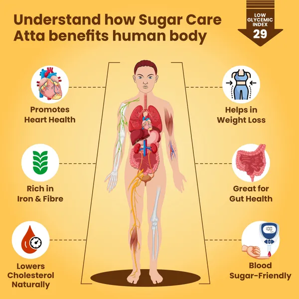 Sugar_Care_Atta-_Low_GI_Multigrain_Atta_For_Diabetes_&_Weight_Loss