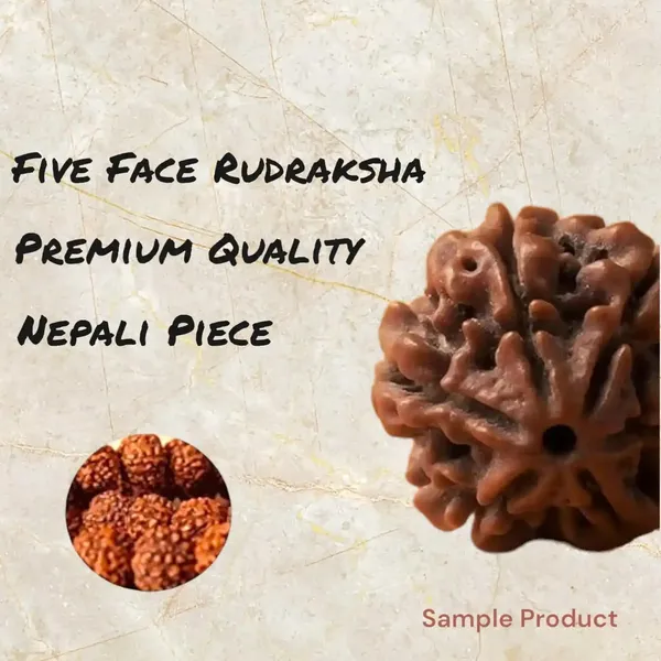 Natural_5_Face_(Mukhi)_Rudraksha_Loose__Bead_Seed