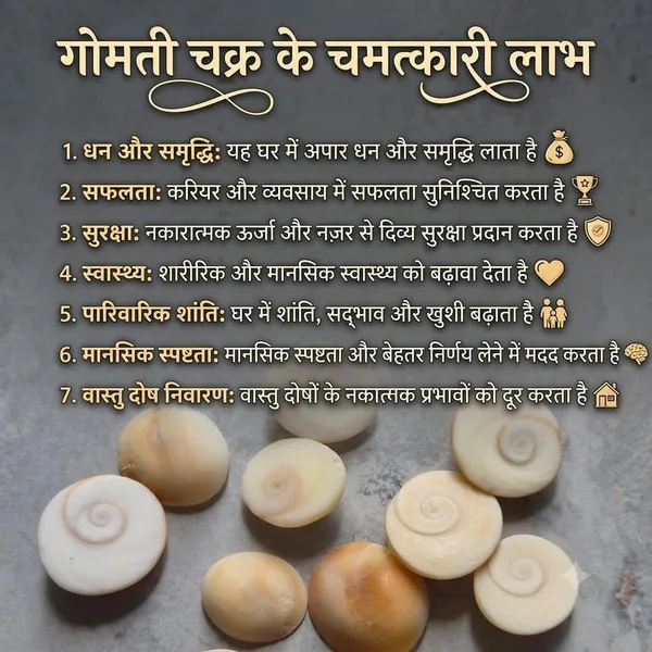 Natural_Gomti_Chakra_Shell_Pooja_Set_Of_12