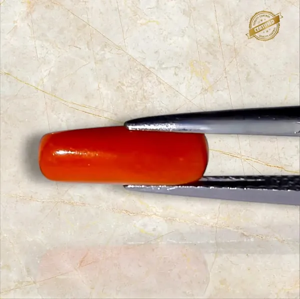 Red_Natural_Coral_Moonga_Loose_Gemstone