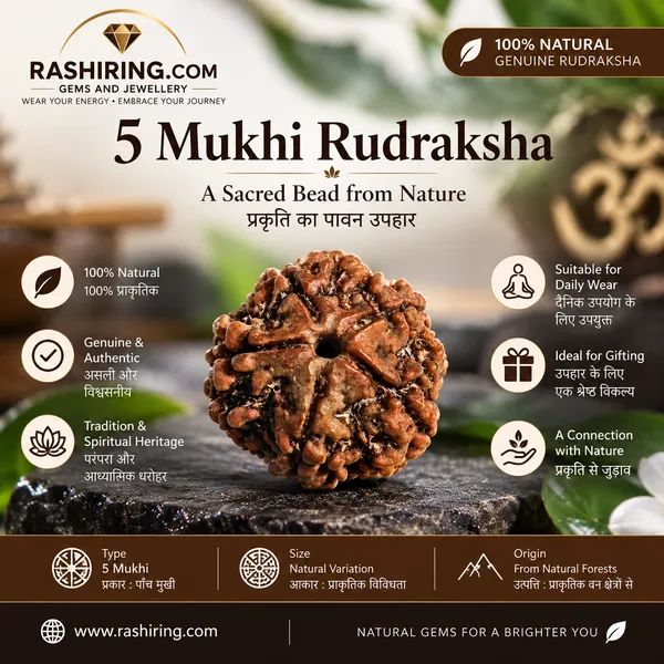 Natural_5_Face_(Mukhi)_Rudraksha_Loose__Bead_Seed