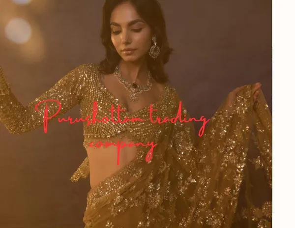 Gold_Net_Embroidered_Sequin_Work_Saree_For_Women