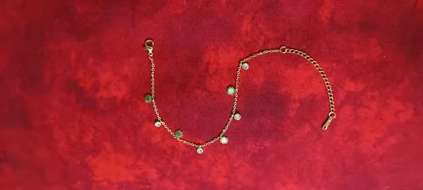 Royal_Gold_Plated_Charm_Bracelet_for_Women