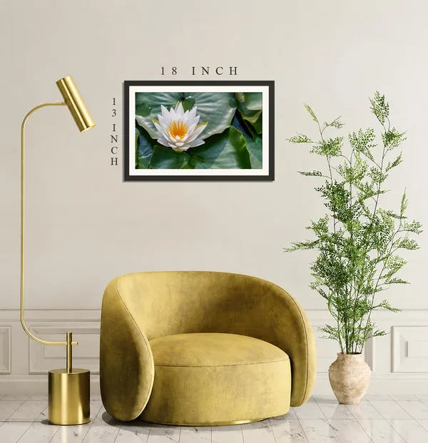 White_Water_Lily_on_Large_Green_Leaves_Wall_Art_Frame_Without_Glass_–_White_Water_Lily_Flower_Photo_with_Orange_Stamens_for_Living_Room,_Kitchen_&_Entryway