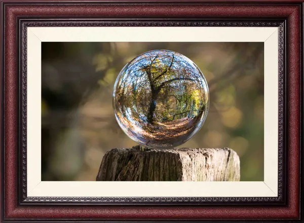 Glass_Sphere_Landscape_Wall_Art_Forest_Reflection_Photo_Frame_Without_Glass