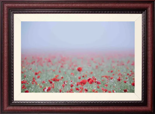 Poppy_Field_Landscape_Wall_Art_Foggy_Meadow_Photo_Frame_Without_Glass
