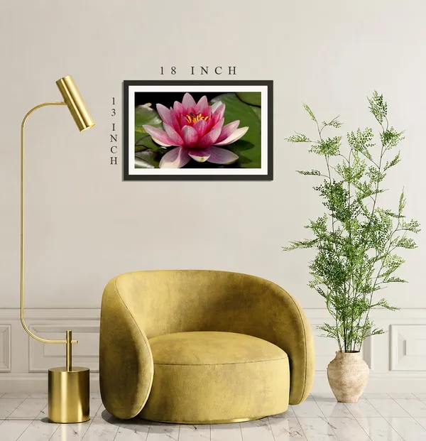 Pink_Red_Water_Lily_Flower_on_Green_Lily_Pads_Wall_Art_Frame_Without_Glass_–_Layered_Nymphaea_Photo_with_Golden_Stamens_for_Living_Room,_Kitchen_&_Hallway