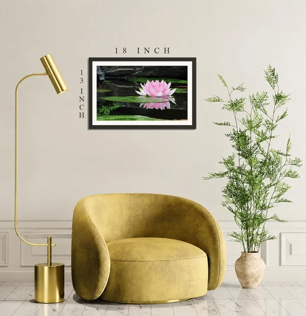 Pink_Water_Lily_Flower_Reflection_on_Pond_Wall_Art_Frame_Without_Glass_–_Nymphaea_Water_Lily_Photo_with_Lily_Pads_for_Living_Room,_Bedroom_&_Office