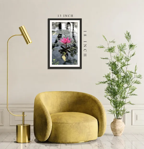 Pink_Water_Lily_in_Misty_Grey_Pond_with_Tree_Reflections_Photo_Frame_Without_Glass_–_Lily_Pad_Pond_Wall_Art_for_Study,_Living_Room_&_Office